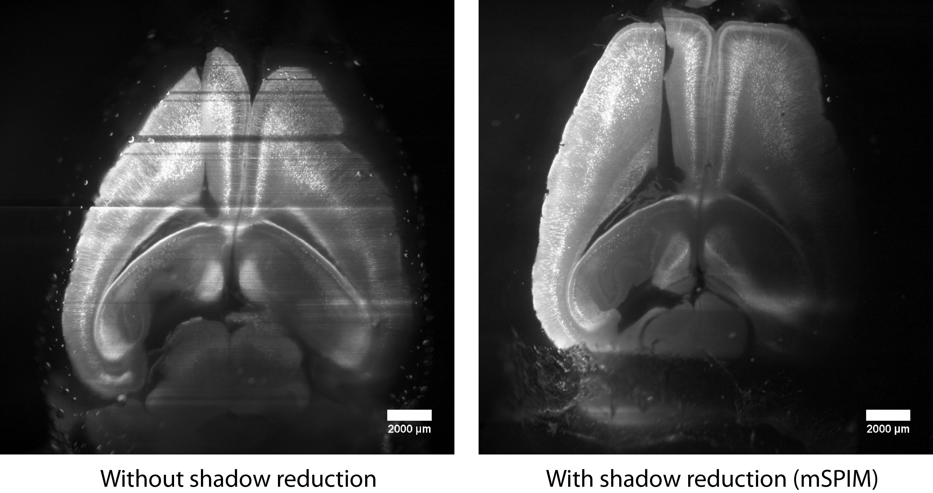 Shadow reduction: Comparison