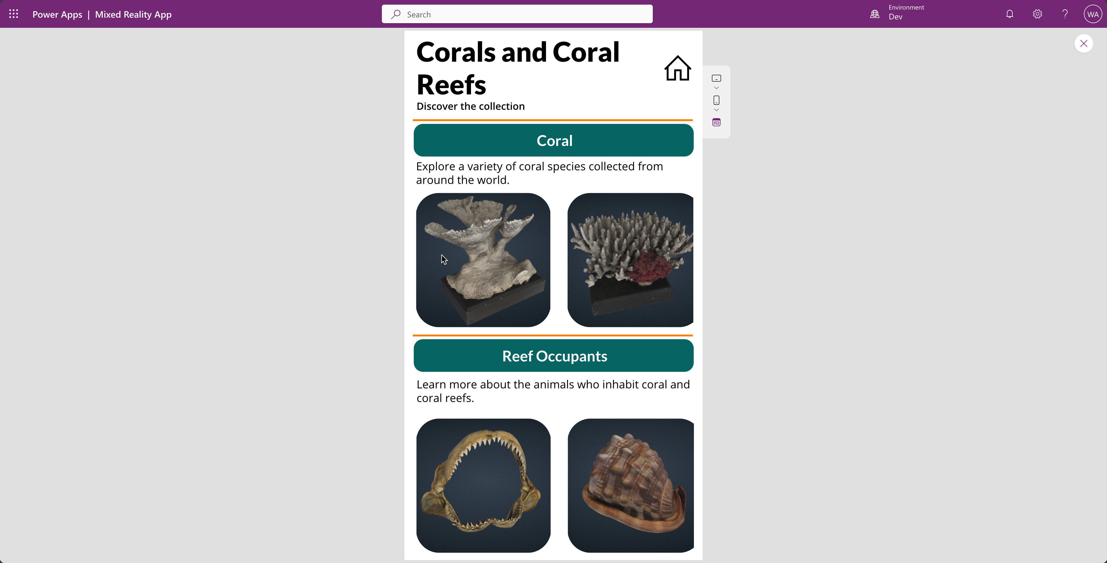 corals-and-occupants-gallery.png