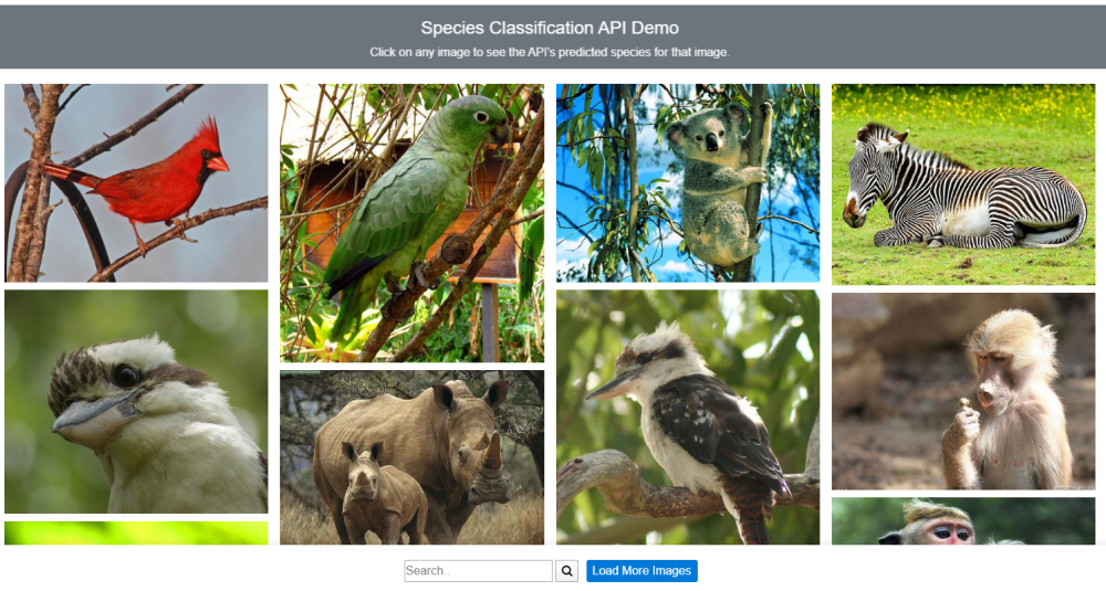 species_classification_demo.png