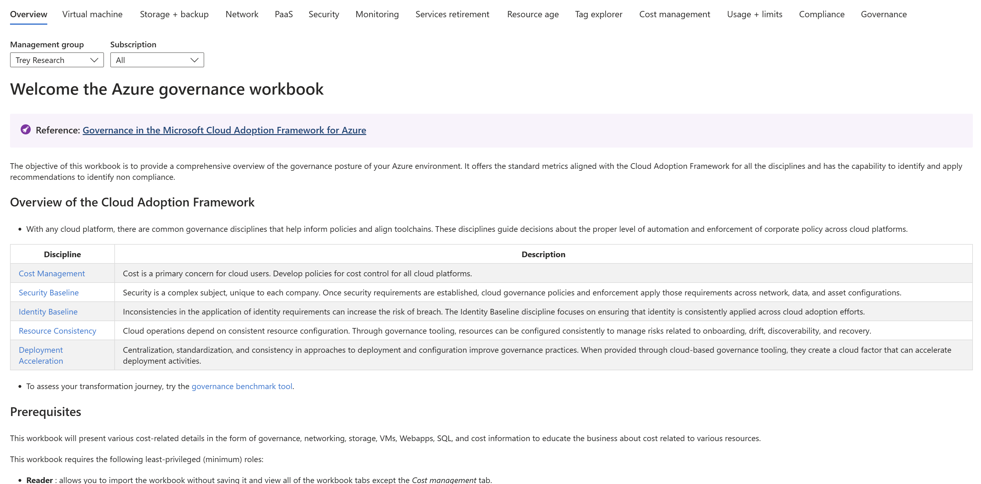 Screenshot of the Governance workbook