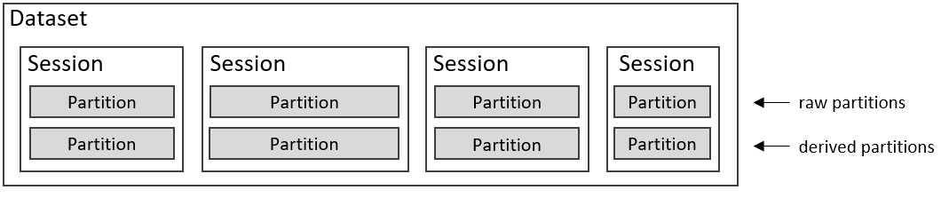 Dataset with raw and derived partitions