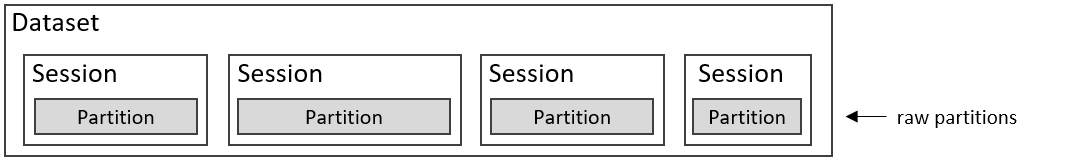 Dataset with raw partitions