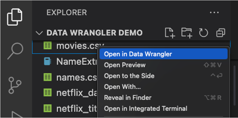 a screenshot showing the entry point into Data Wrangler from a file