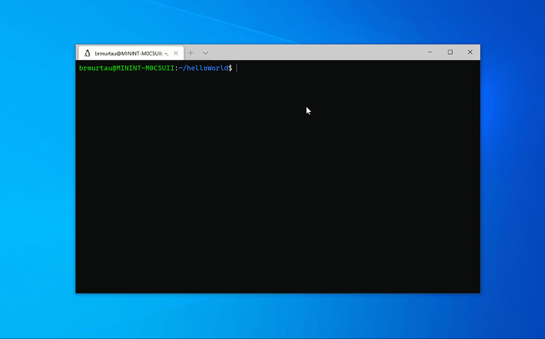 Using the WSL extension with an Ubuntu distro on WSL