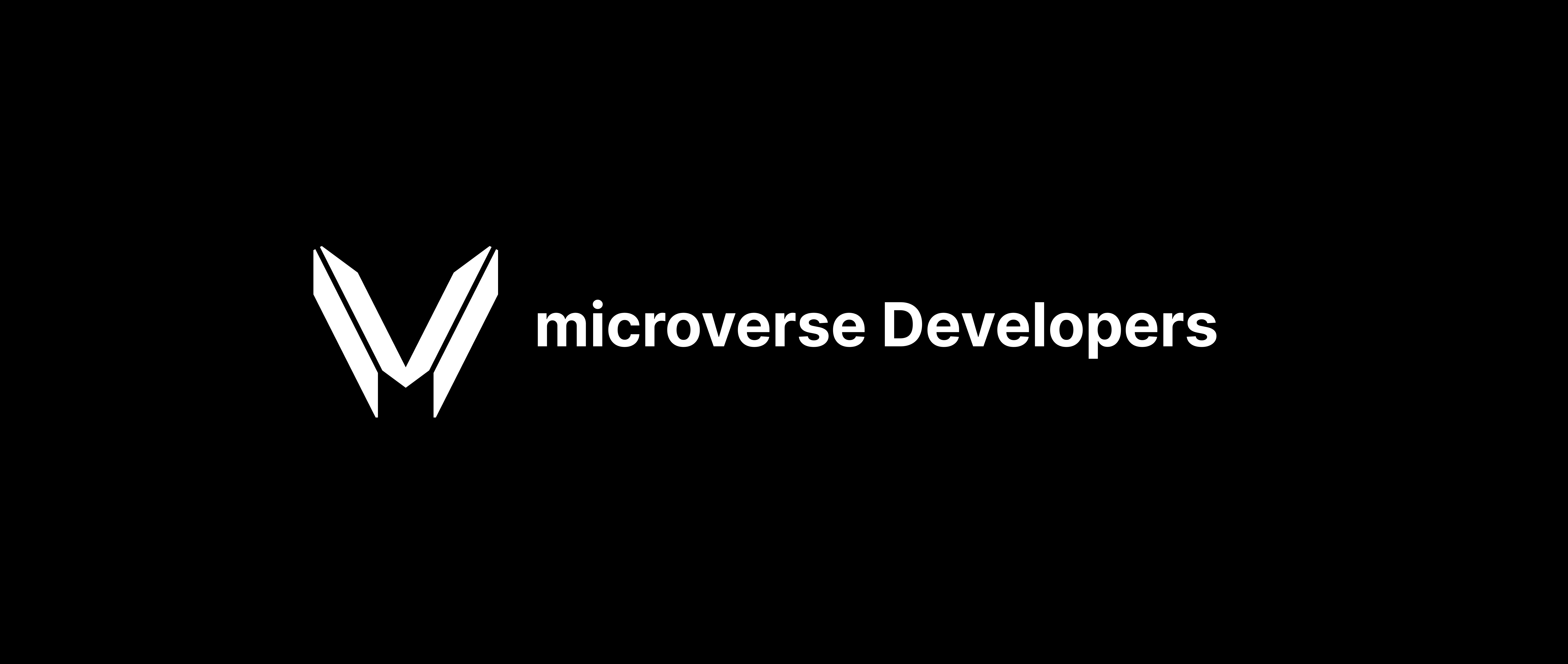 microverse-developers-header.png