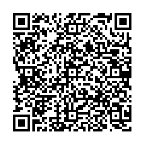 qr_trifa_dev003_apk.png