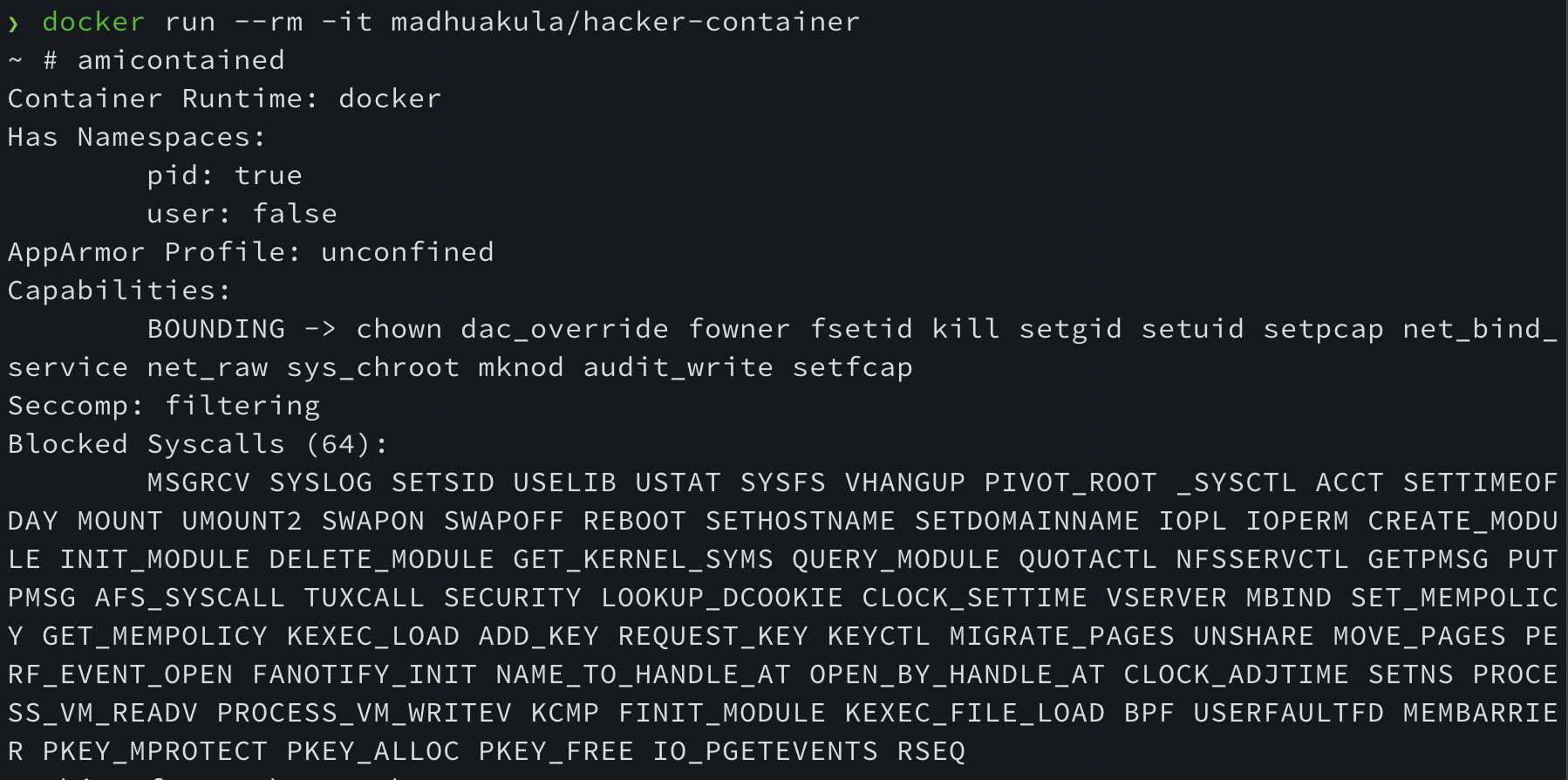 hacker-container-in-action.png