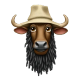 doom-on-emacs