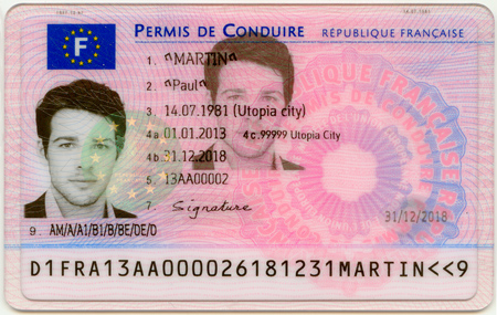 Driver License sample