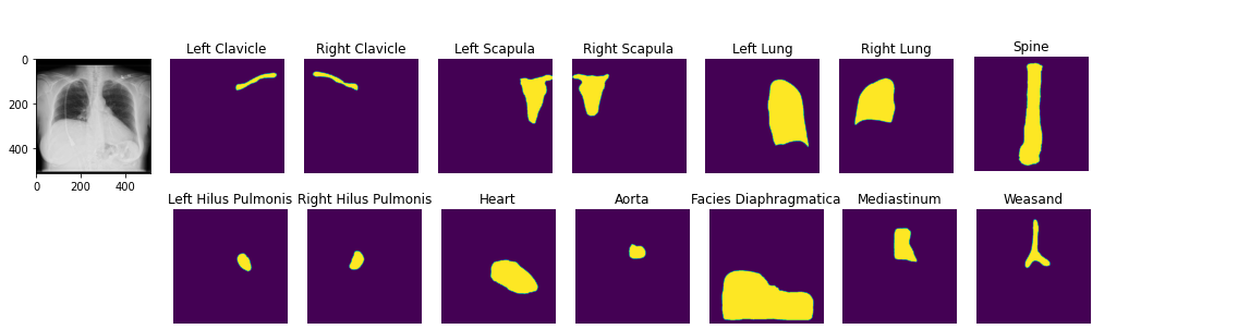 segmentation-pspnet.png