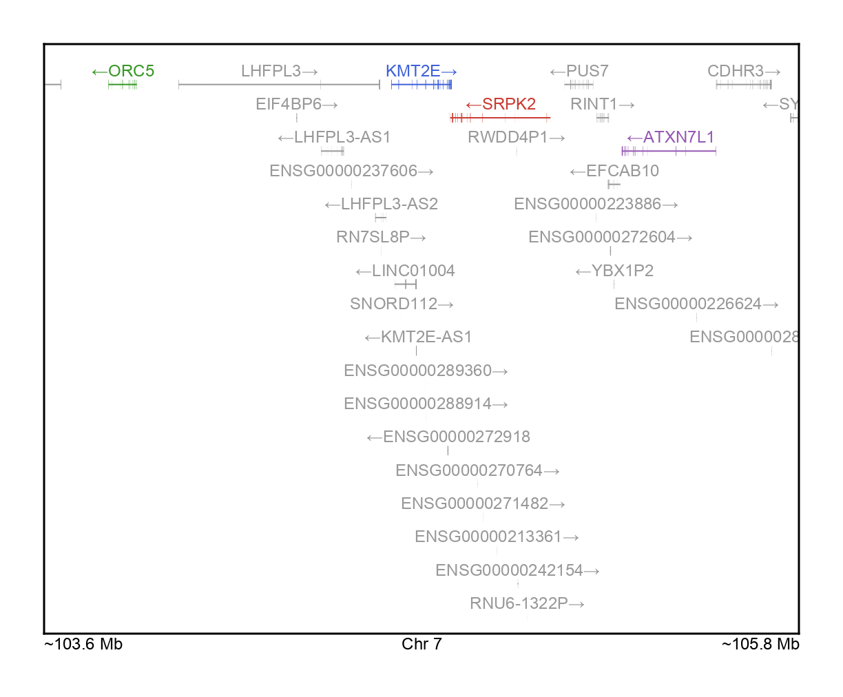 KMT2E-gene-highlight.png