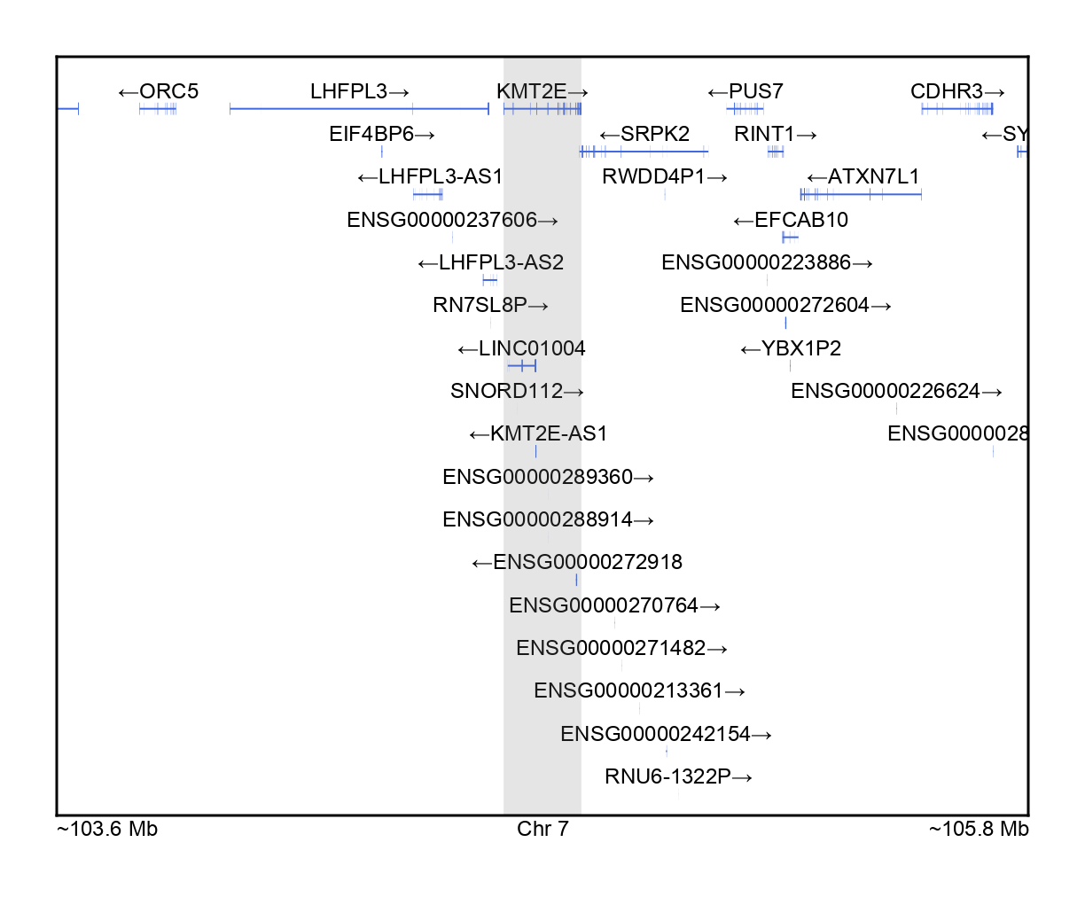 KMT2E-gene.png