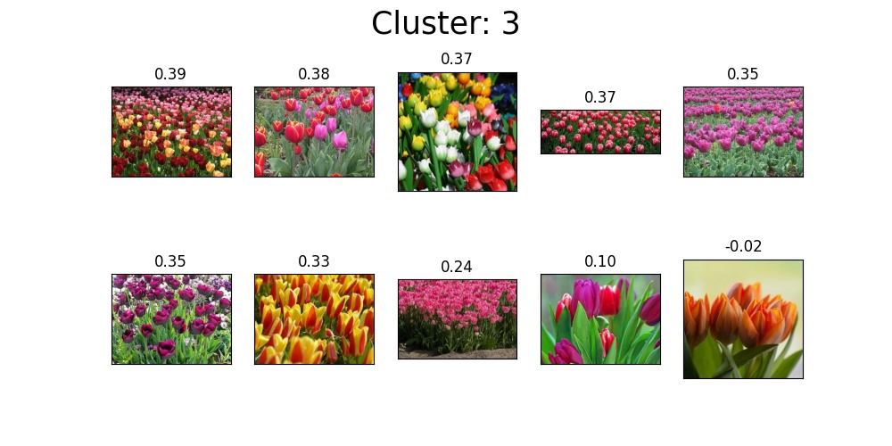 cluster_3.jpg