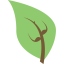 mongoid