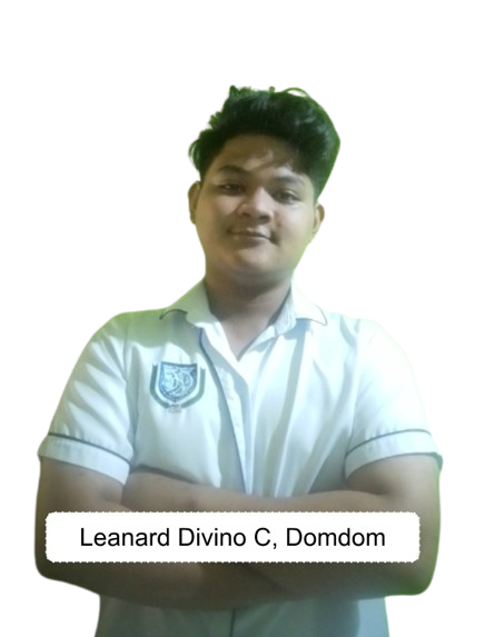 Domdom__Pic.png