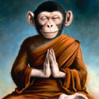 monkybrain