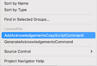 copy_script_command.png