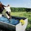 moo-man
