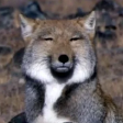 moodtrip avatar