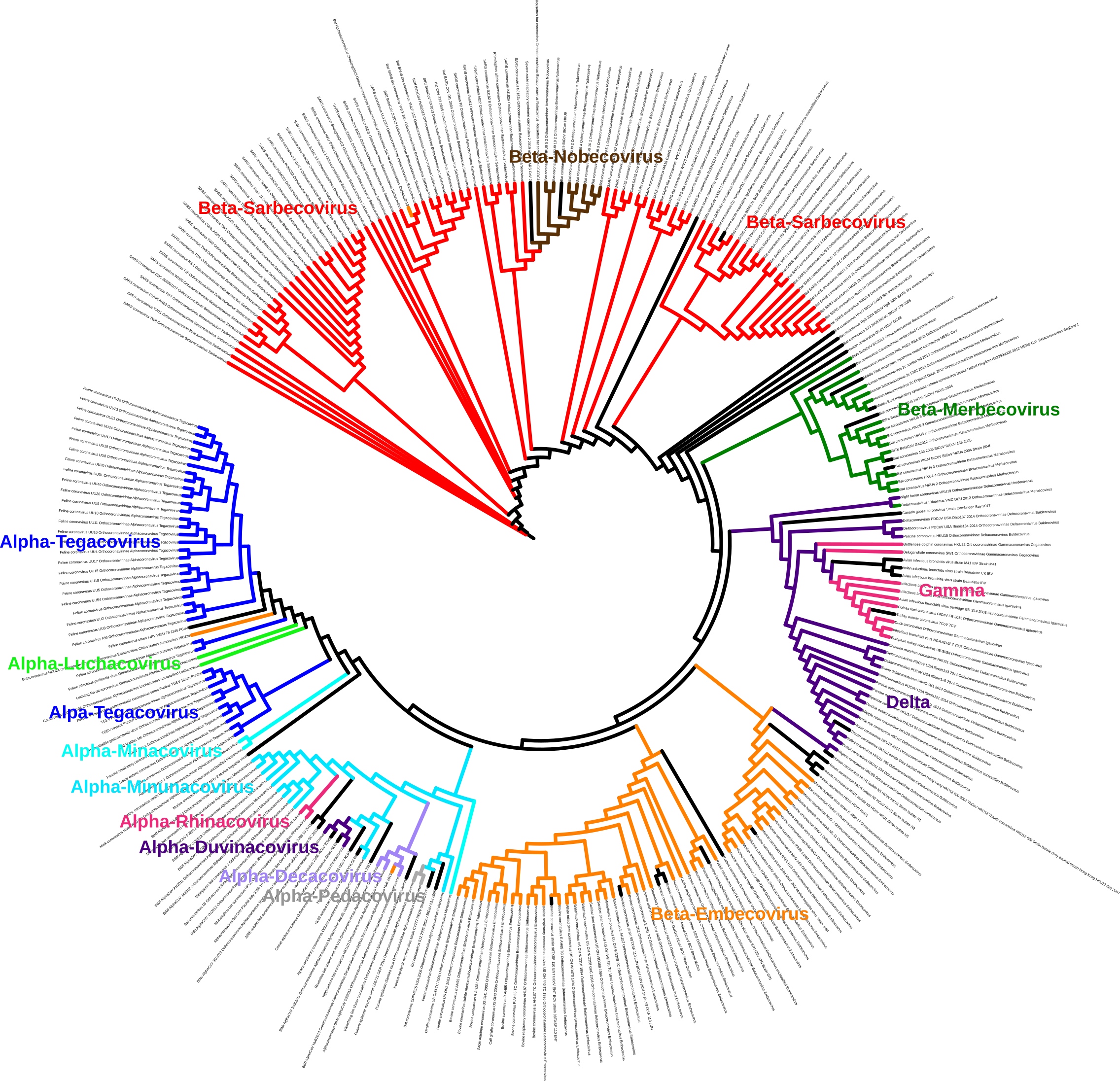 ML_supertree_organisms.png