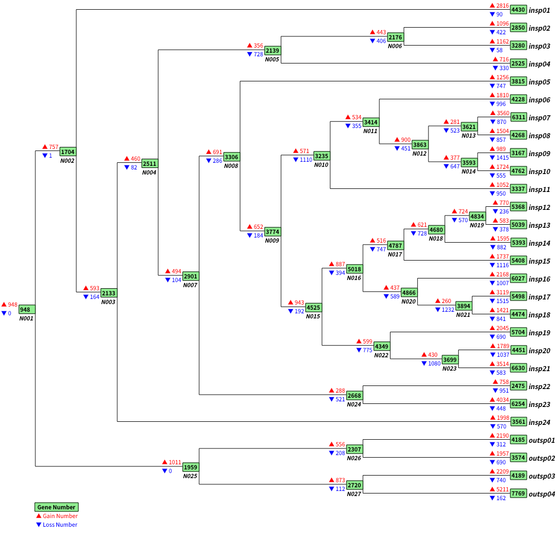 demo_plot_all_gain_loss_map.png