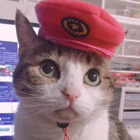 moskize91