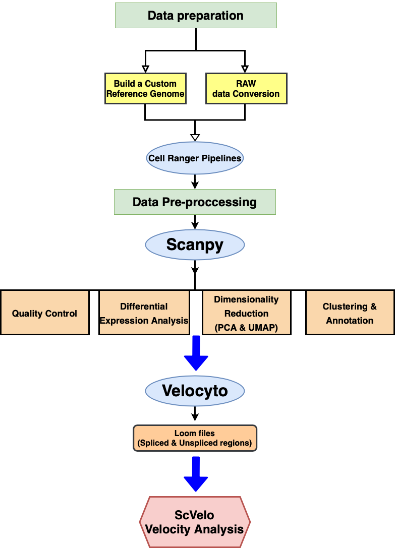 project_flowchart-3.png