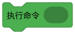 执行命令