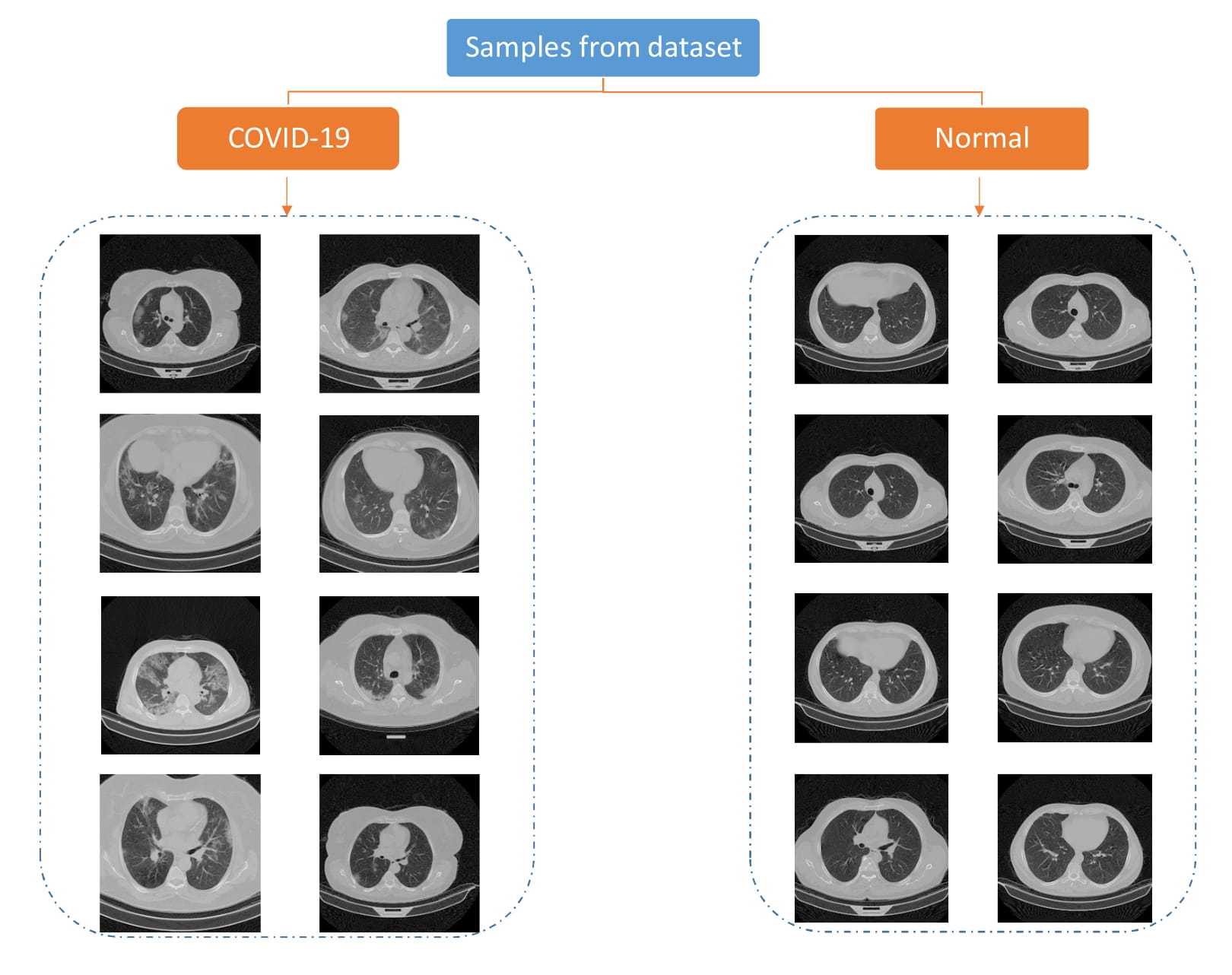 dataset-1.jpg