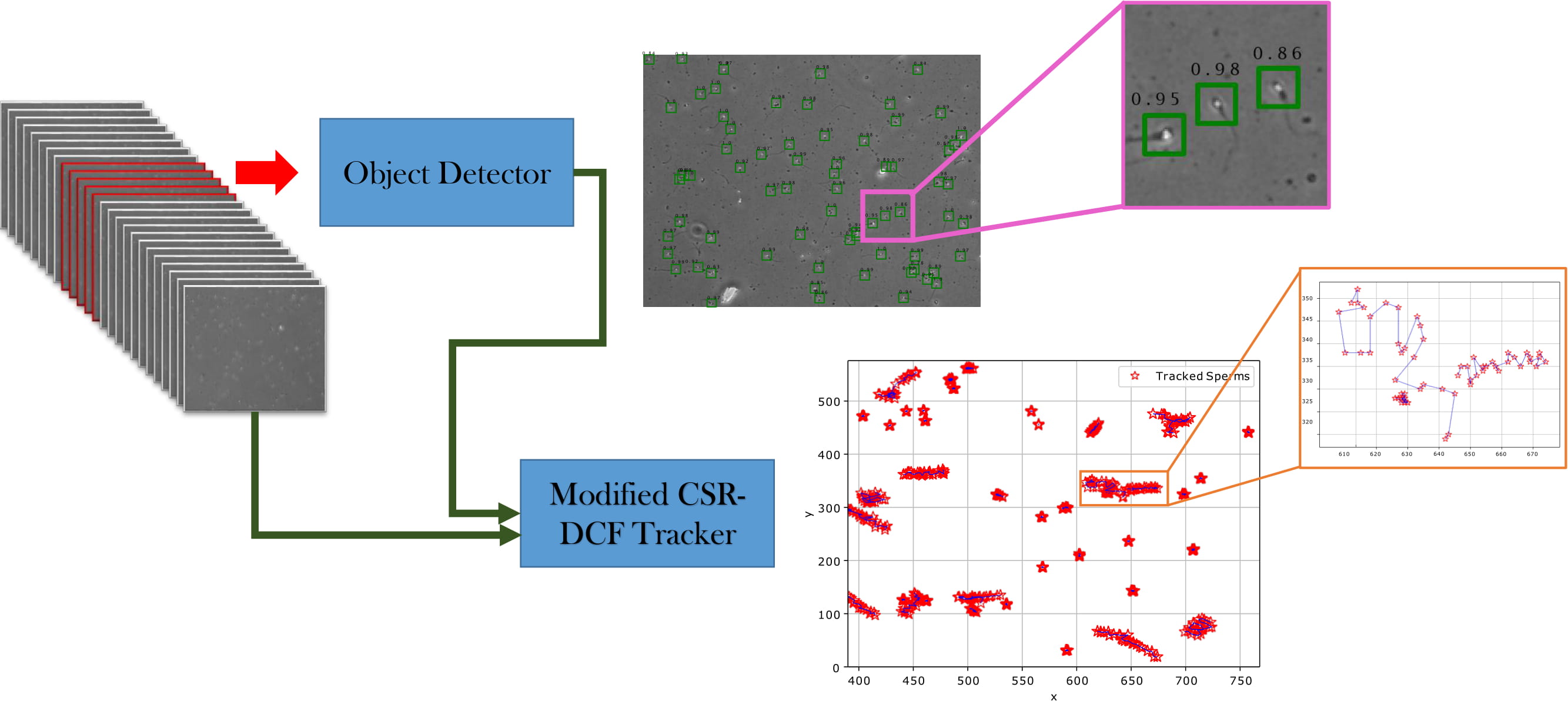 graphical_abstract-1.jpg