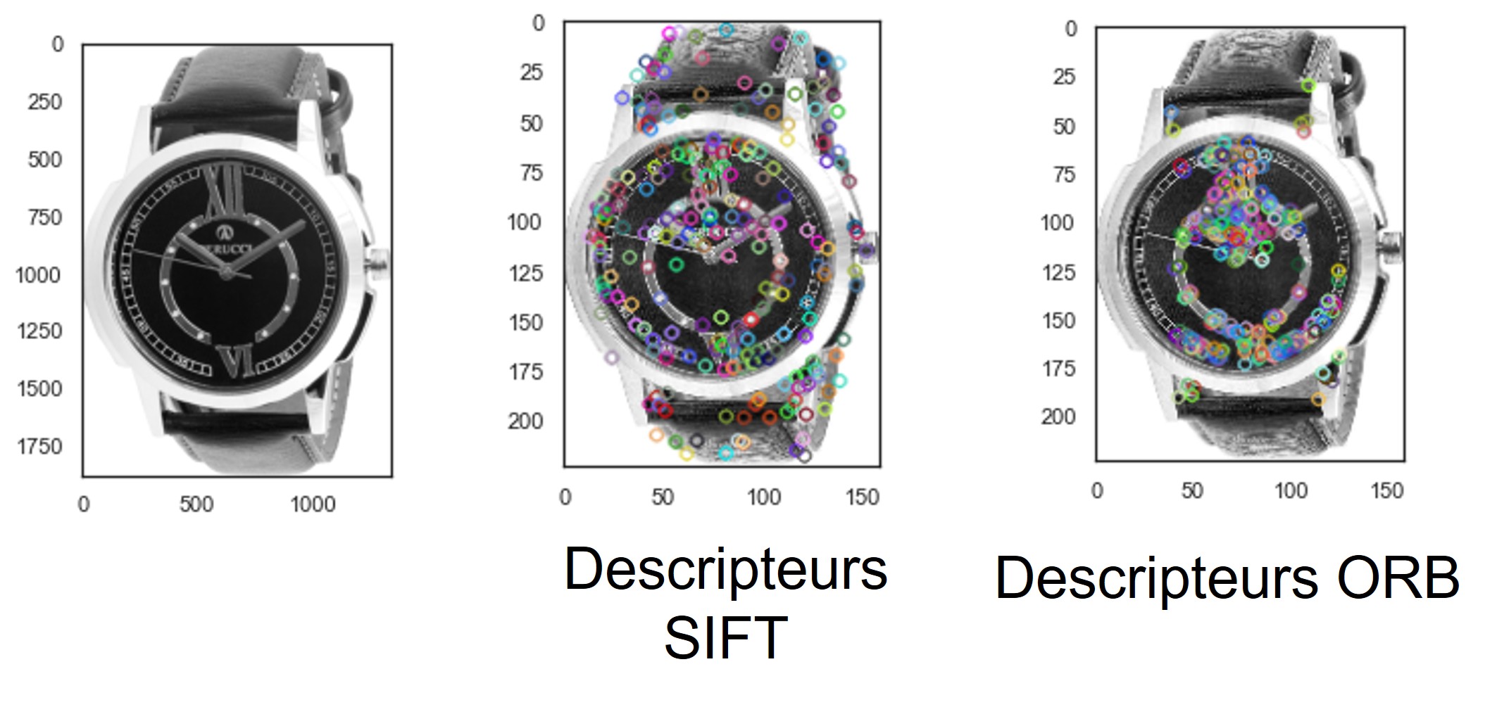 Slide26a.JPG