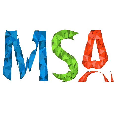 msa06