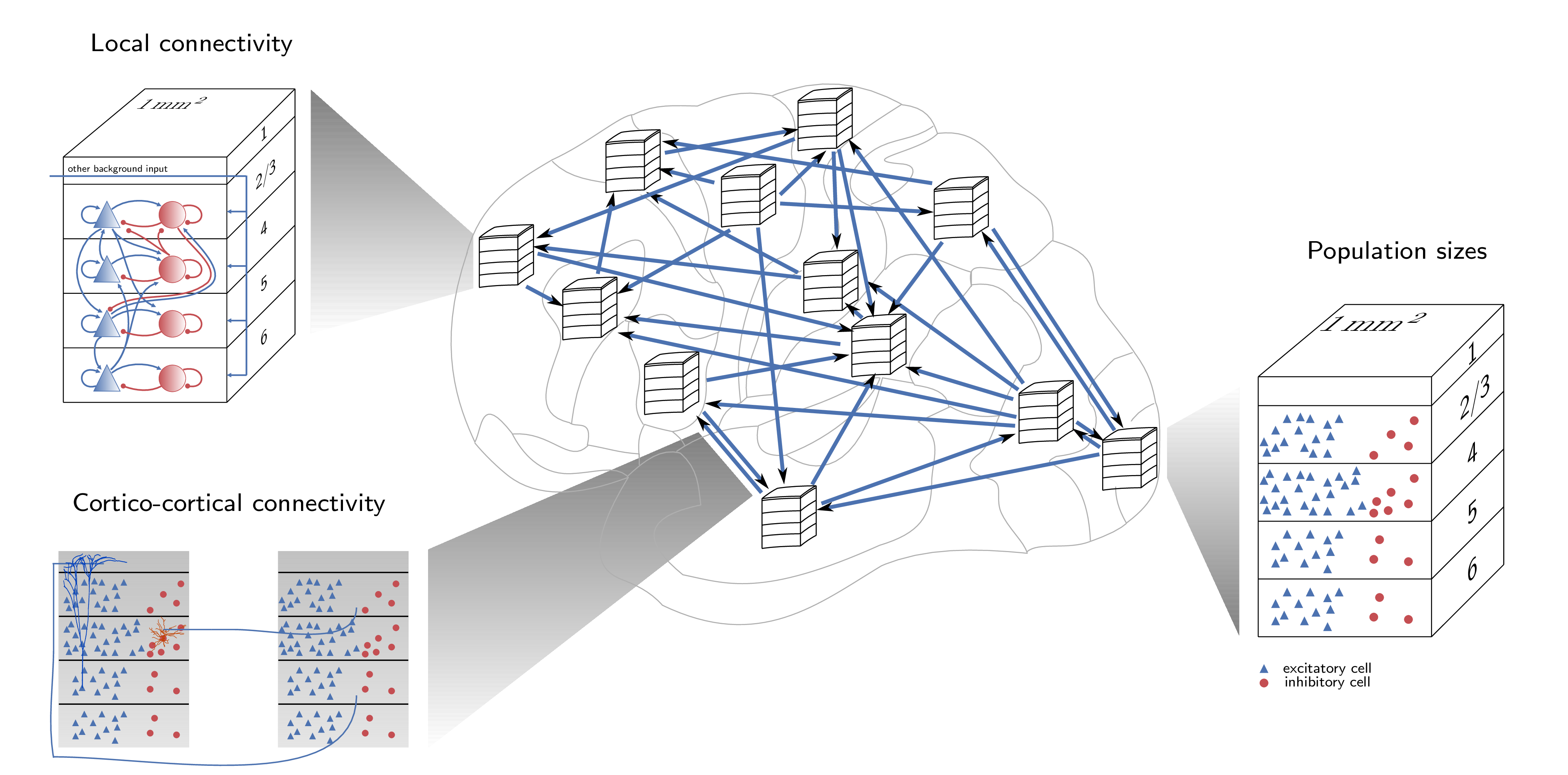 model_construction.png