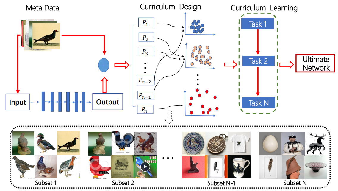 curriculumnet_graphic_1.png