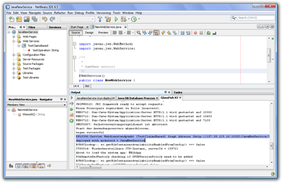 JavaNewService - NetBeans IDE 6.5