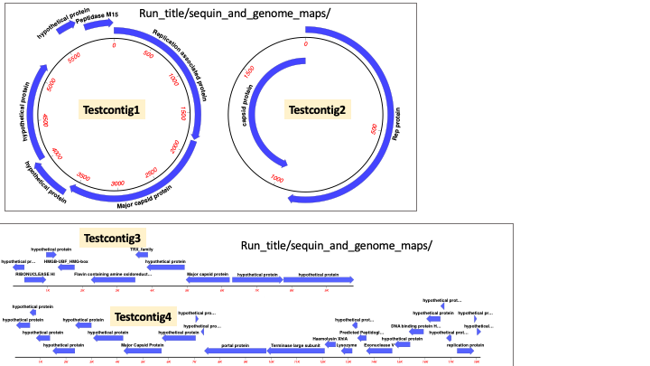 cenote_DNA_test_contigs1.png