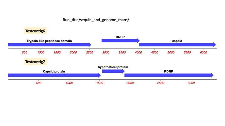 cenote_RNA_test_contigs1.png