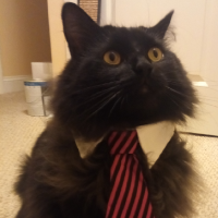 multikatt