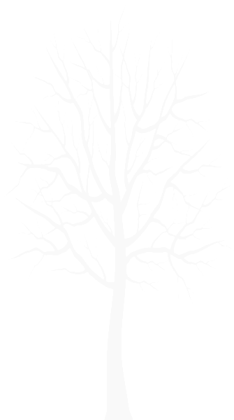 tree1.png