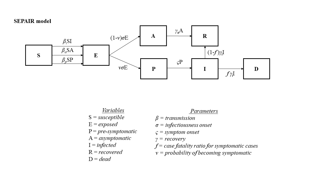 model_schematic.png