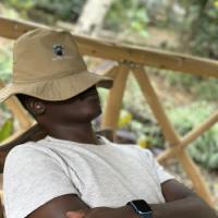 muse254