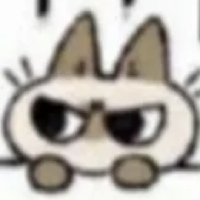 myz1237