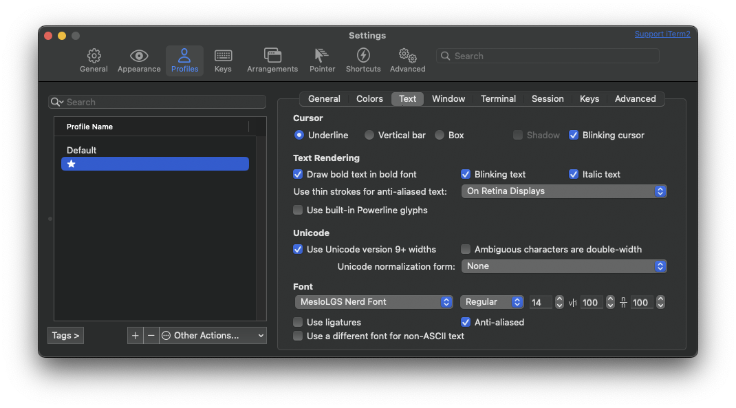 iterm_text_options.png