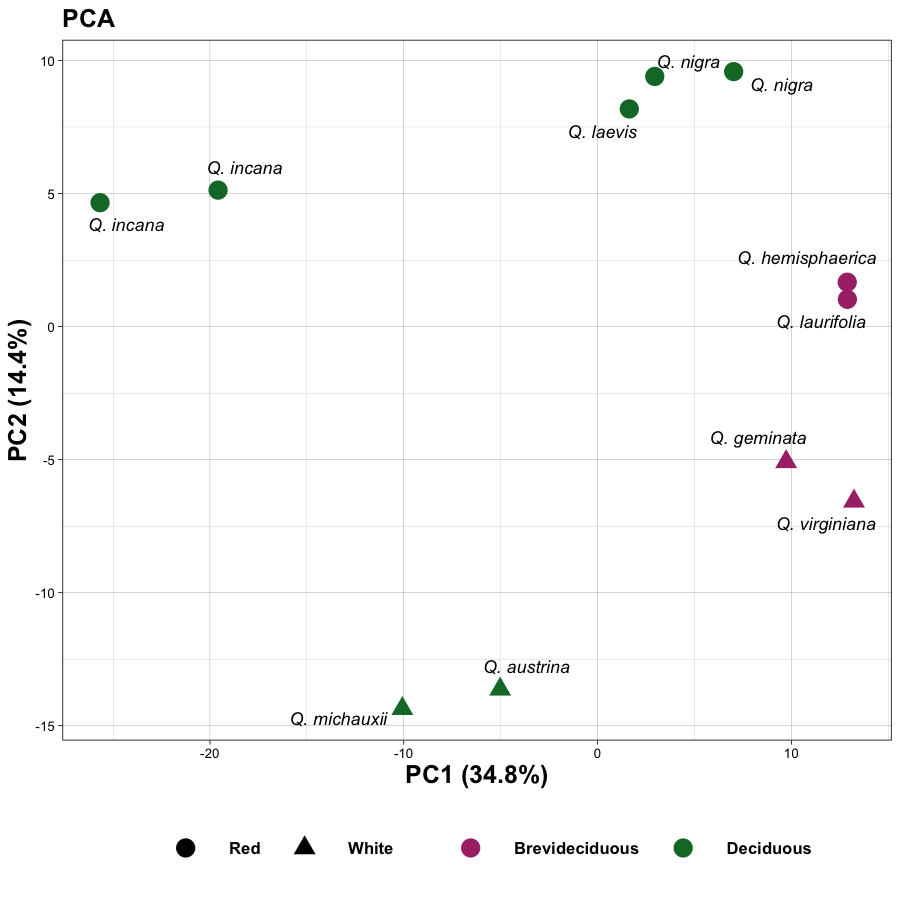 pca.png