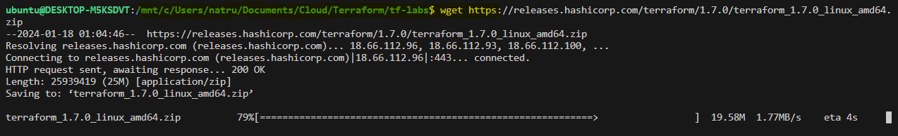 Downloading Terraform Binary