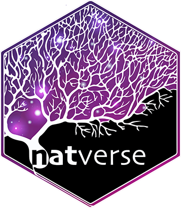 hex-natverse_logo.png