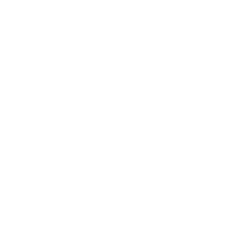 github-mark-white.png