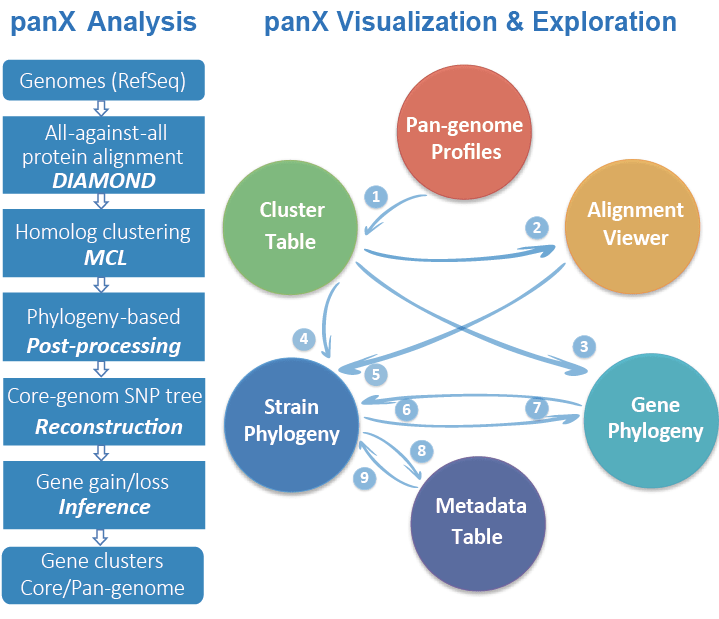 panX-pipeline.png