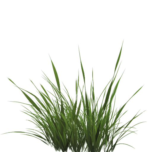 Texture image of grass with transparency