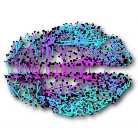 netneurolab